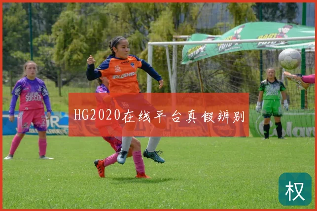 HG2020在线平台真假辨别