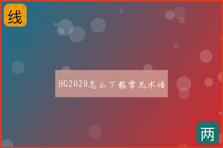 HG2020怎么下载常见术语