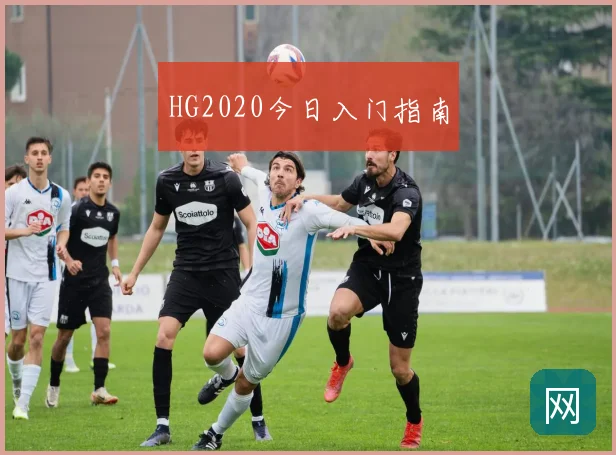 HG2020今日入门指南